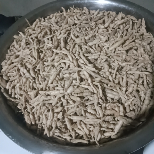 通江县麦冬