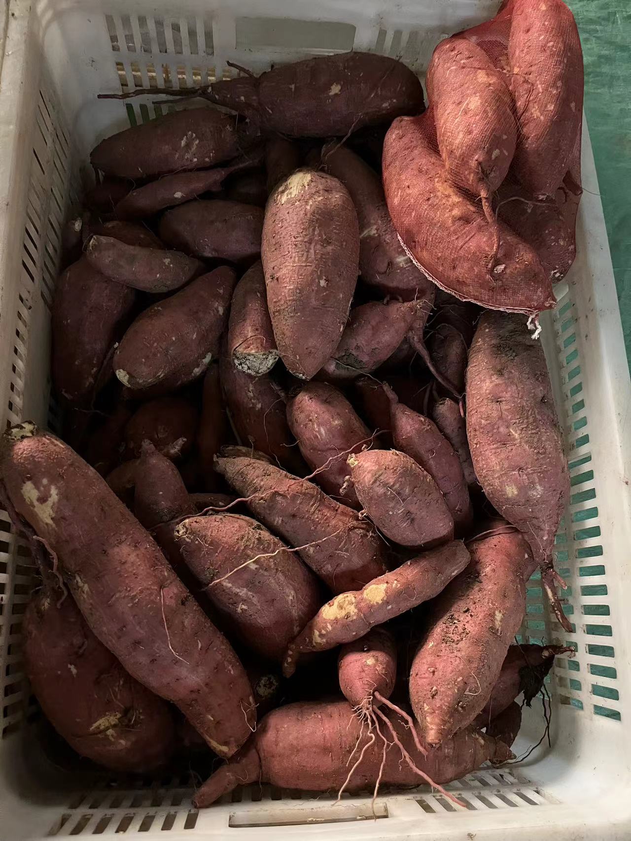 板栗薯，红皮黄心，济26红薯口感软糯香，现挖现发，货源充足，