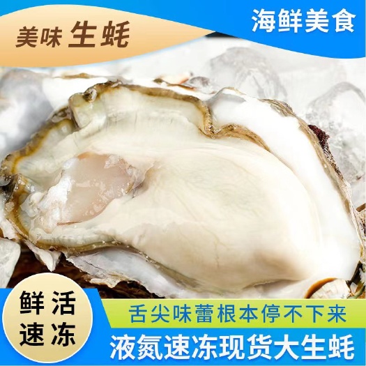 钦州钦州生蚝、钦州白蚝、三倍体、液氮速冻生蚝批发零售工厂直发