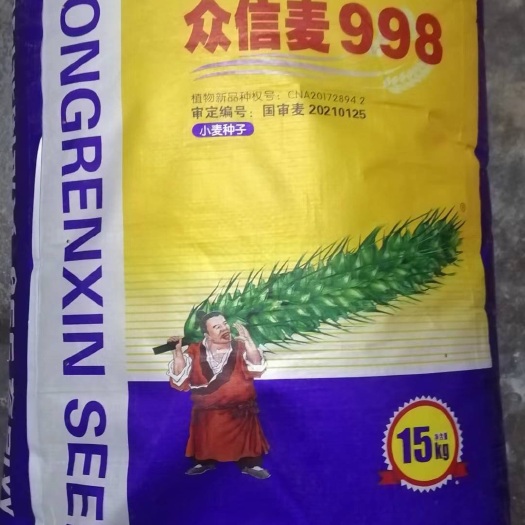 济南众信麦998到货
