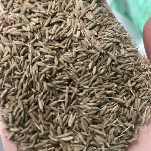 孜然