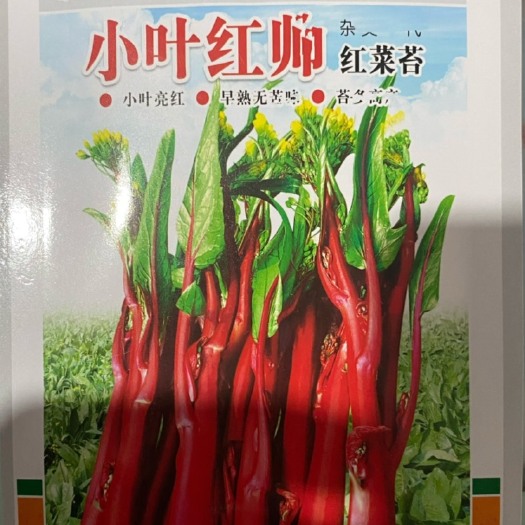 宜城市康地公司，小叶红帅红菜苔种子