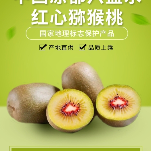 六盘水中国凉都六盘水红心猕猴桃 味美汁甜 营养丰富 现采现发