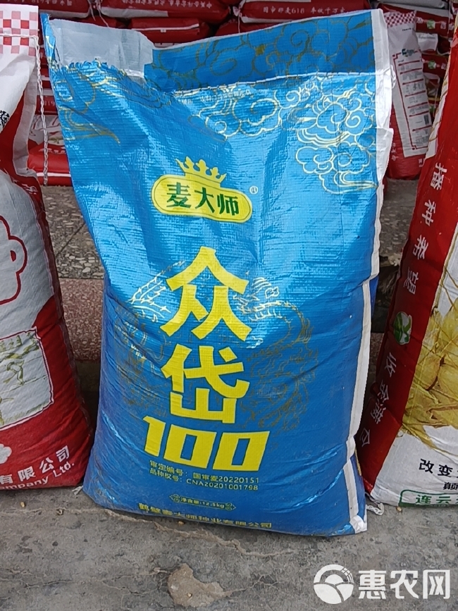 岱麦100，产量高，耐寒，抗旱
