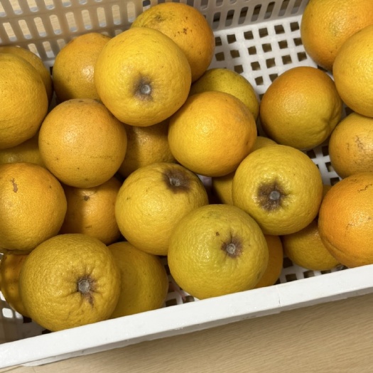 徐州橙子