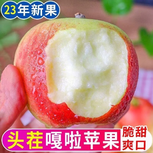 临猗县嘎拉苹果