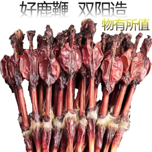 长春东北吉林梅花鹿之乡 鹿鞭