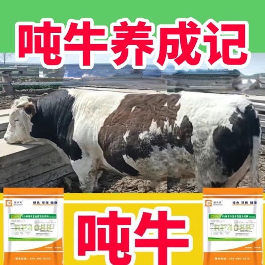 郑州肉牛羊预混料快速催肥速长增重4%配比1000斤厂家直供邮到镇