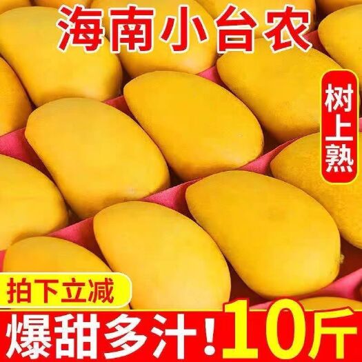 上海海南台农大台农芒果带箱9斤新鲜水果批发当季热带大台
