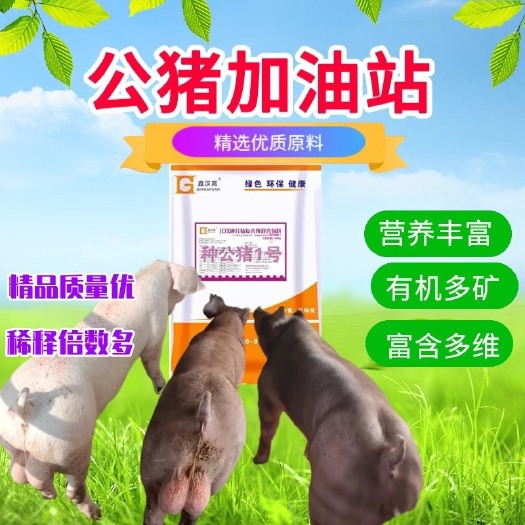 郑州种公猪预混料10%配比增强营养提供动力精多精旺精强配400斤