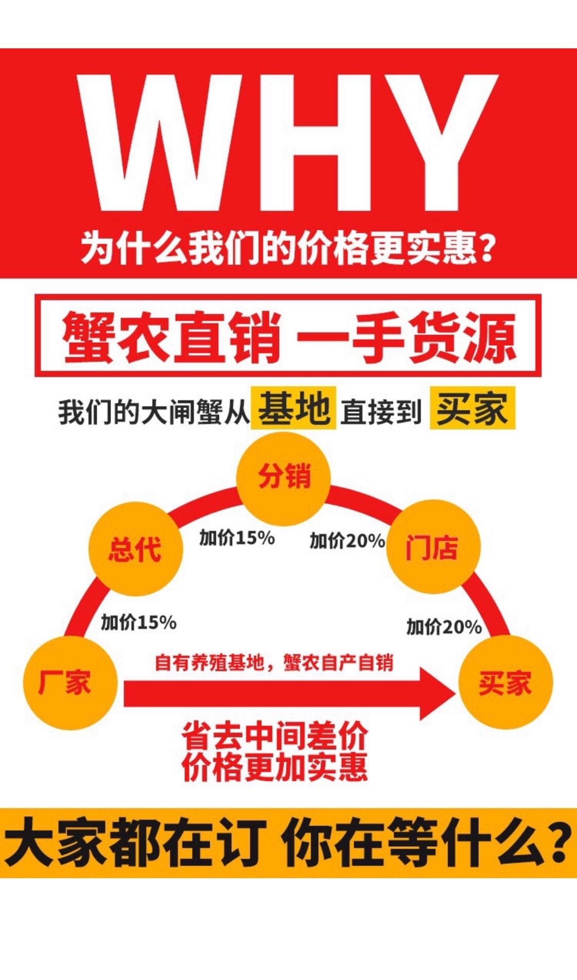 大闸蟹精品阳澄湖镇大闸蟹一手货源礼盒包装，批发、团购、代发蟹