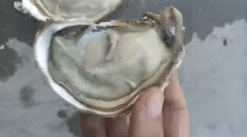 乳山市生蚝