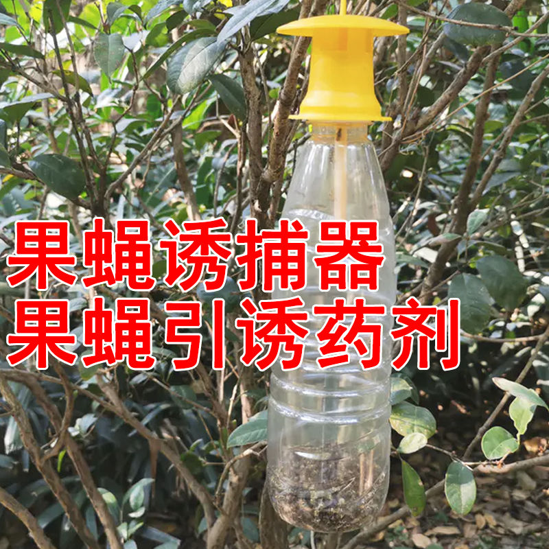 果蝇诱捕器 果蝇引诱剂针蜂桔小蝇诱捕剂万蝇迷瓜果实蝇引诱剂