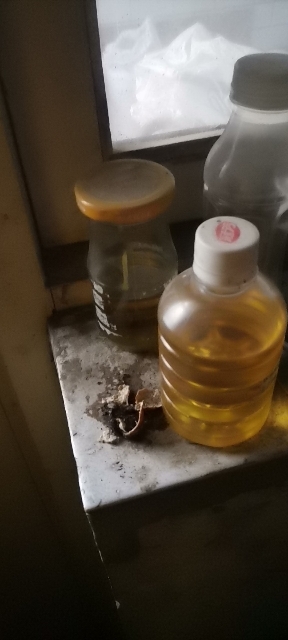 定兴县自榨油