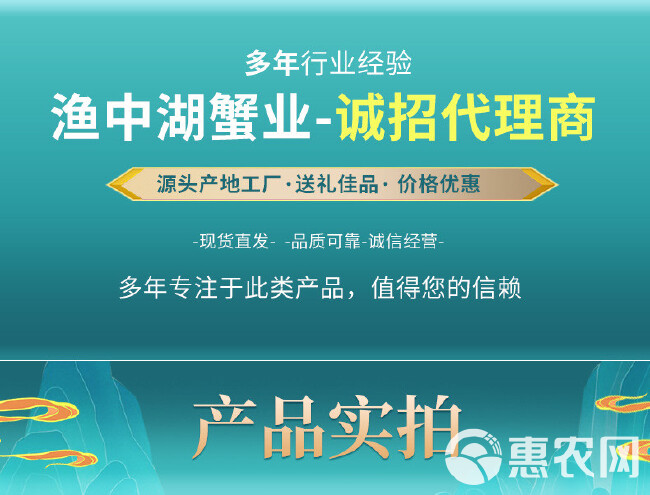 大闸蟹精品阳澄湖镇大闸蟹一手货源礼盒包装，批发、团购、代发蟹