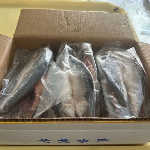 南靖县挪威鲭鱼整条对开青花鱼非鲐鲅鱼冷冻海鲜批发日料鱼水产半成品