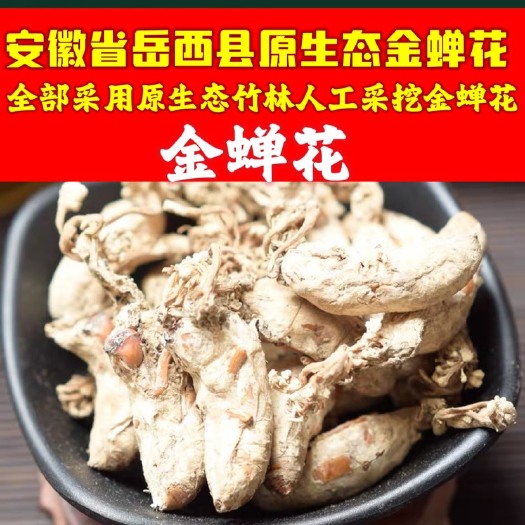 岳西县新鲜 的知了花 金蝉花 原产地发货 大别山山区真蝉花
