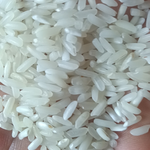 衡阳丰良优大米食堂便宜大米
