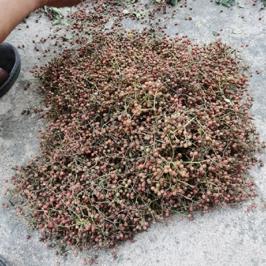 平邑县鲜花椒