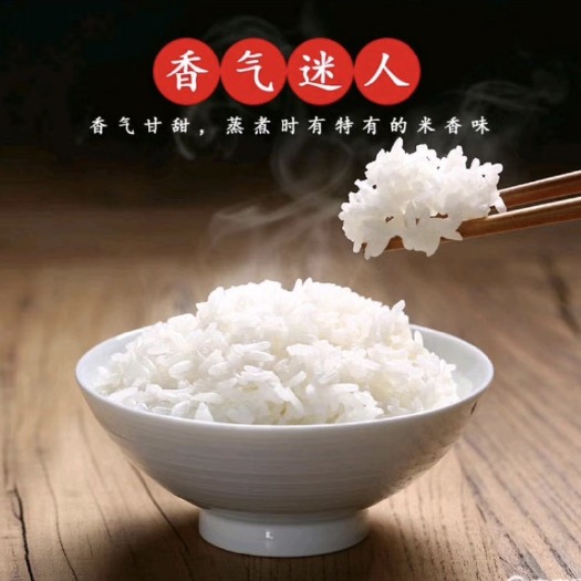 齐齐哈尔东北大米珍珠米50斤装