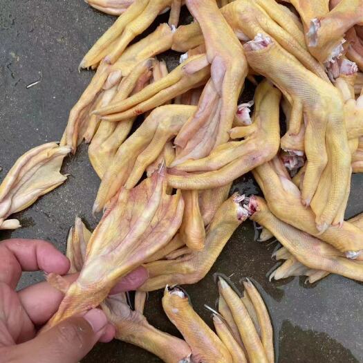 平邑县黄皮鸭掌     工厂直发全部现货 长期供应