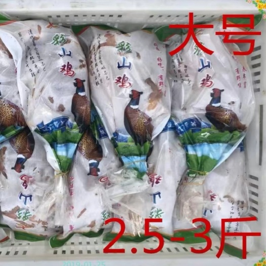商河县【现活宰杀】新鲜七彩山鸡白条。