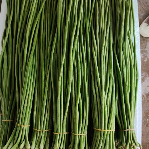 建水縣云南精品長(zhǎng)豆角大量有貨，歡迎老板采購(gòu)