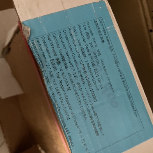 杭州缅甸黄鱼冷冻