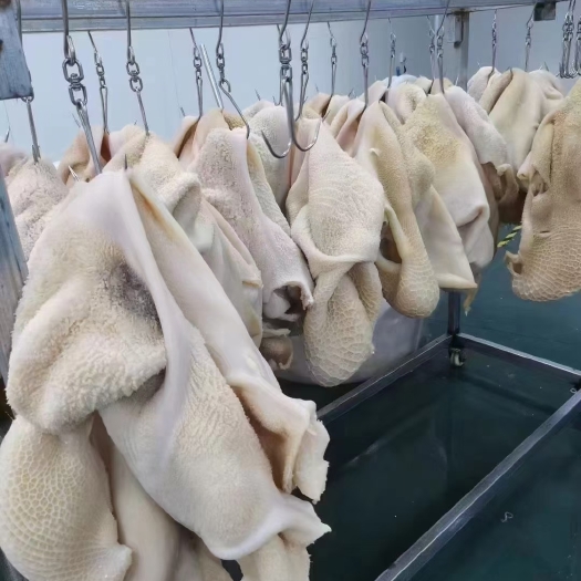 中牟县河南郑州中牟县优质新鲜牛肚批发直销