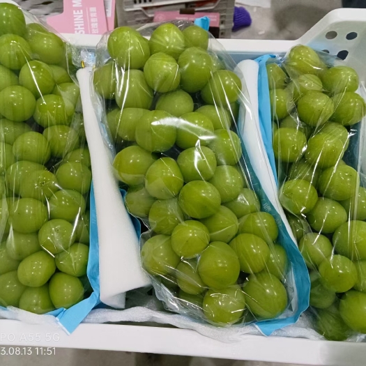 大荔县陕西渭南大荔县新鲜阳光玫瑰葡萄现摘现发果园直供