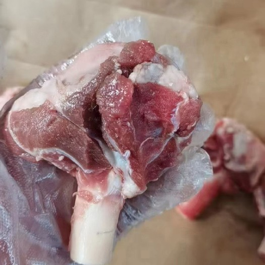 北京多肉羊棒骨