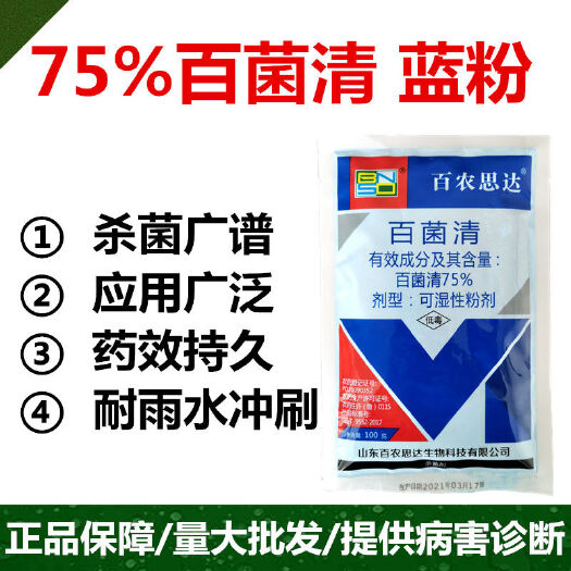 潍坊蓝粉75%百菌清蔬菜黄瓜霜霉病专用农药杀菌剂