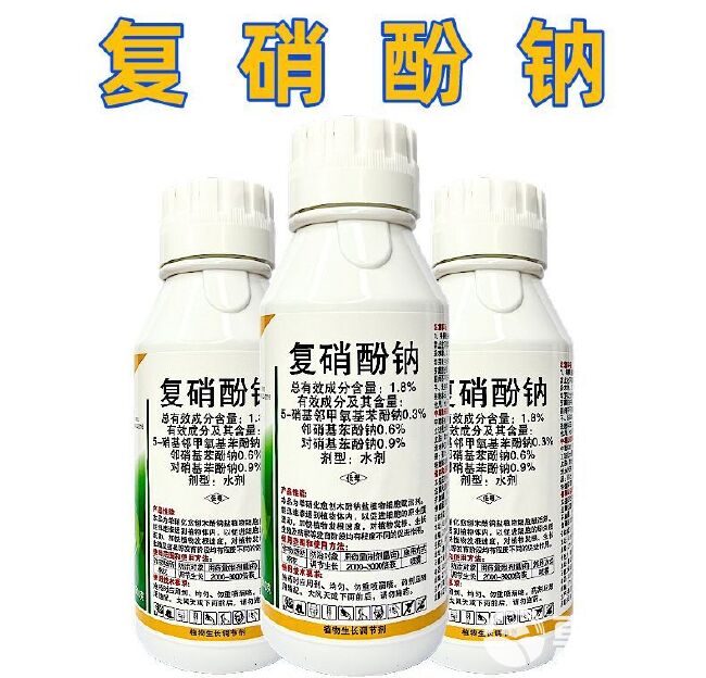 复硝酚钠果树蔬菜通用促根提苗缓解药害保花保果生长调节剂