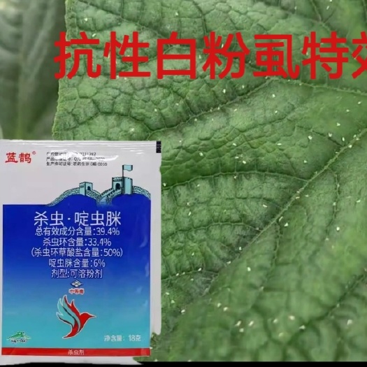 蓝鹊39.4%杀虫·啶虫脒芥蓝黄条跳甲 辣椒西红柿白粉虱杀卵