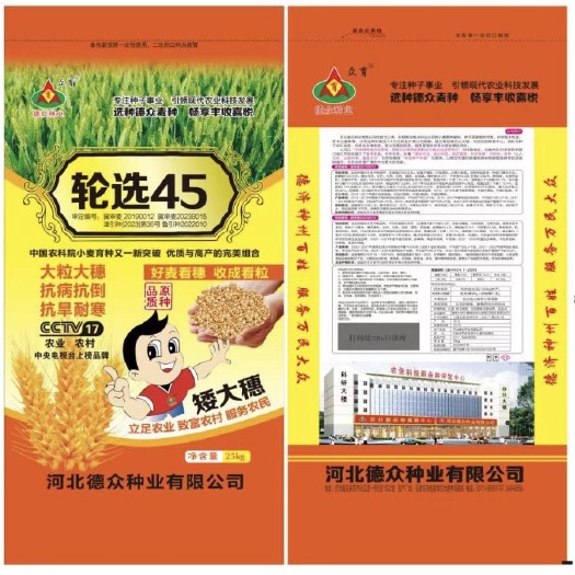 高碑店市轮选45，精品原种，大粒大穗