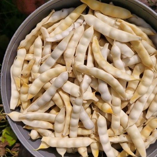 绥化黄豆角