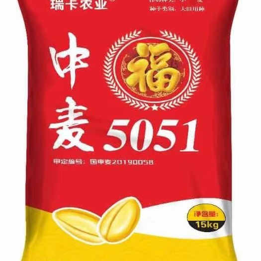 高碑店市中麦5051