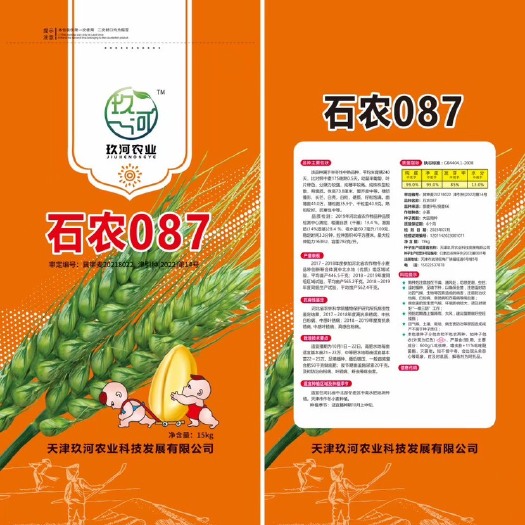 保定石农087，精品原种，想要了解更多可私聊