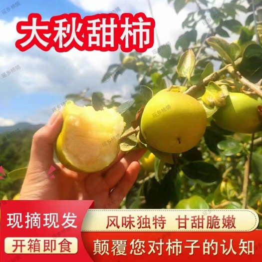 桂林甜柿，水果界的劳斯莱斯，口感脆甜，欢迎取样，成不成看缘分
