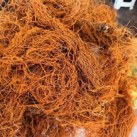 勐腊县金丝刷 金刷把 金丝红雪茶