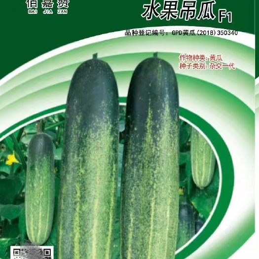 南靖县水果黄瓜种子  顶瓜瓜水果吊瓜，杂交，耐热，水果型。