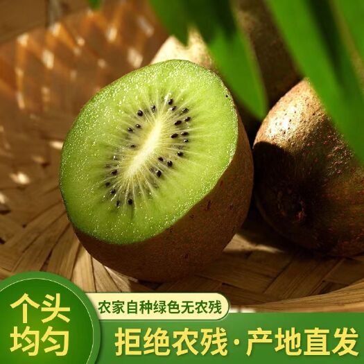 一件代发电商，各种规格，专业价格战