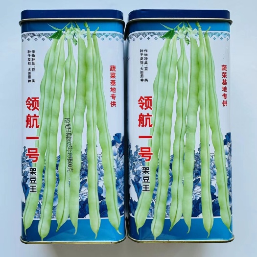 宿迁四季豆种子领航一号架豆王架豆种子 冠龍芸豆种子