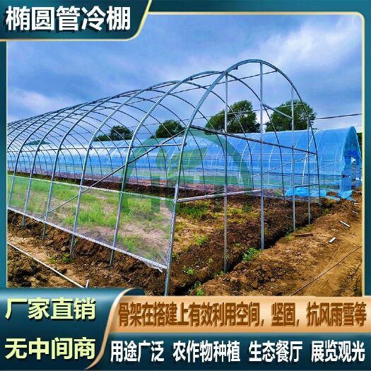 天津大棚钢管骨架温室大棚蔬菜大棚农业种植椭圆管冷棚