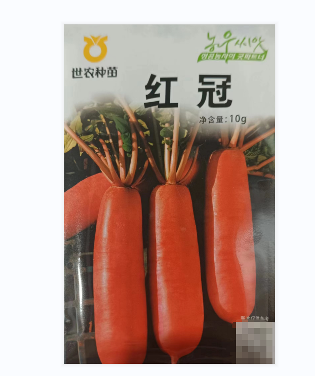 武汉红冠水萝卜种子籽韩国耐糠心稳产水萝卜种子基地用种质优