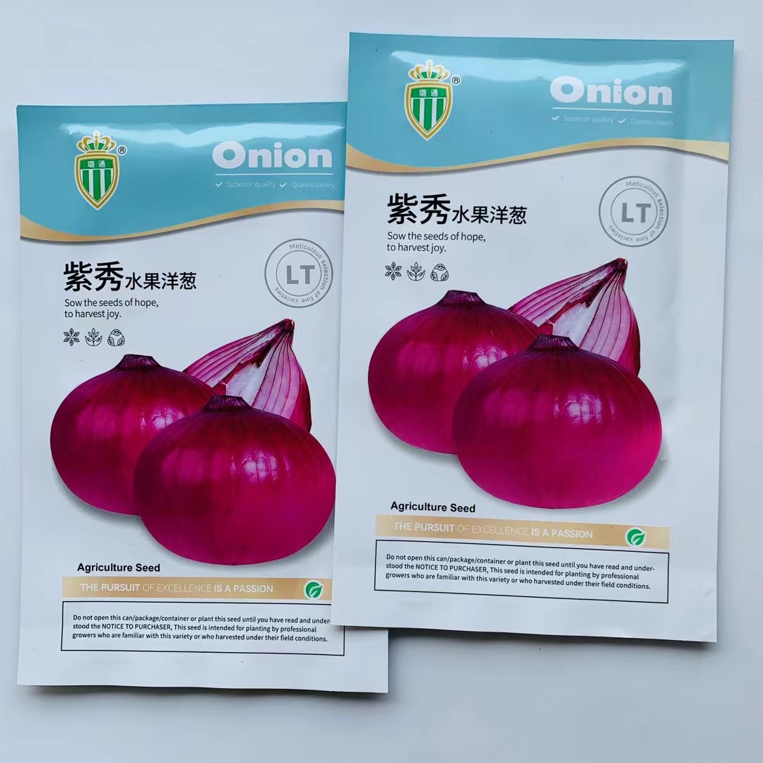 洋葱种子紫秀水果洋葱种子紫皮洋葱种子