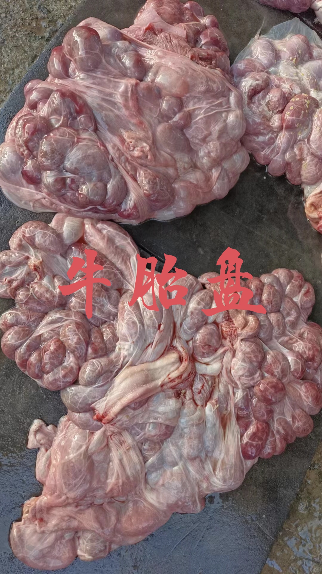 【牛胎盘】黄牛的屠宰场下来的，带自然油不是标件，下面有详细说