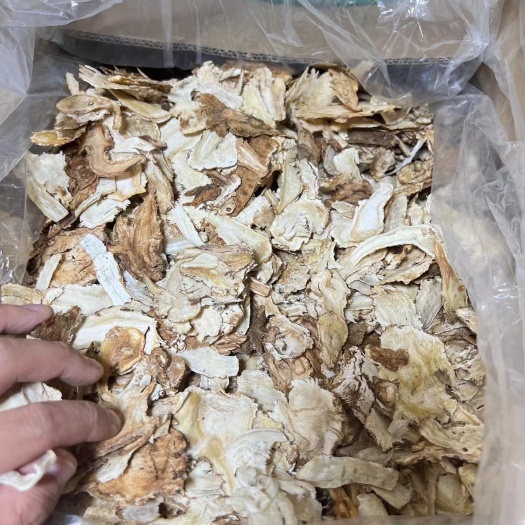 广州当归片