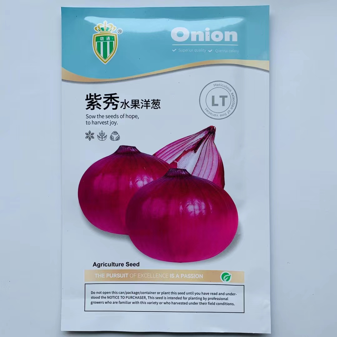 洋葱种子紫秀水果洋葱种子紫皮洋葱种子