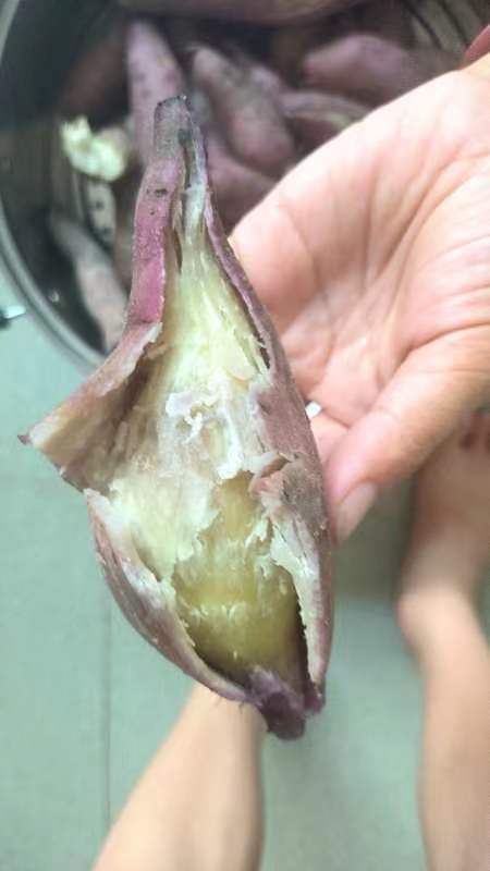 高州市一点红红薯